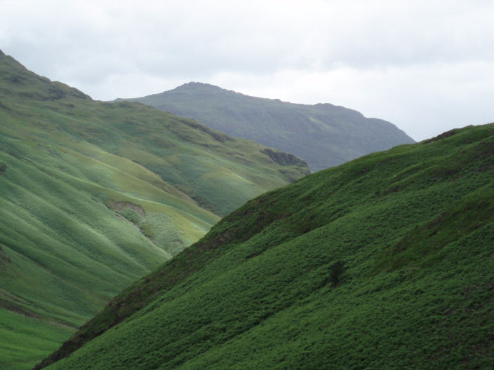 Harter Fell Harter Fell